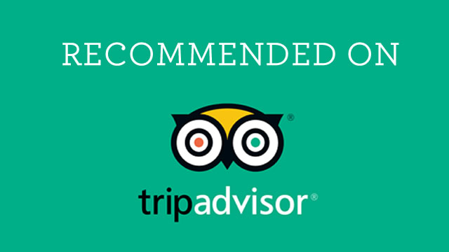 tripadvisor